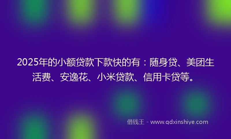 2025年的小额贷款下款快的有：随身贷、美团生活费、安逸花、小米贷款、信用卡贷等。