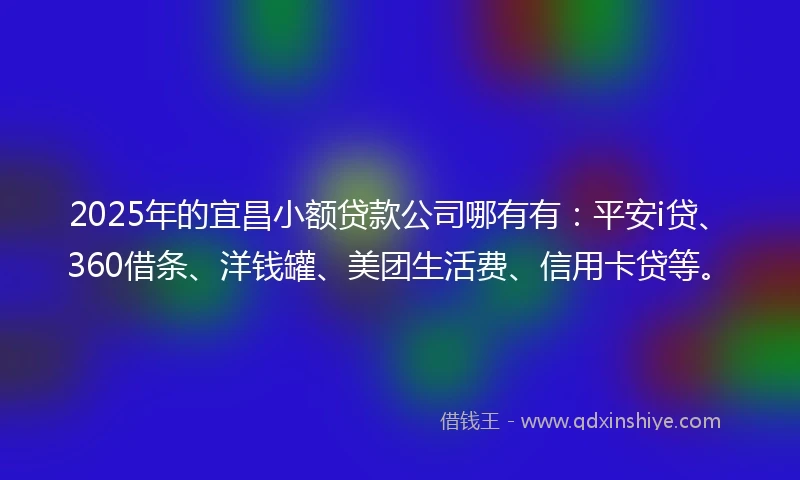 2025年的宜昌小额贷款公司哪有有：平安i贷、360借条、洋钱罐、美团生活费、信用卡贷等。