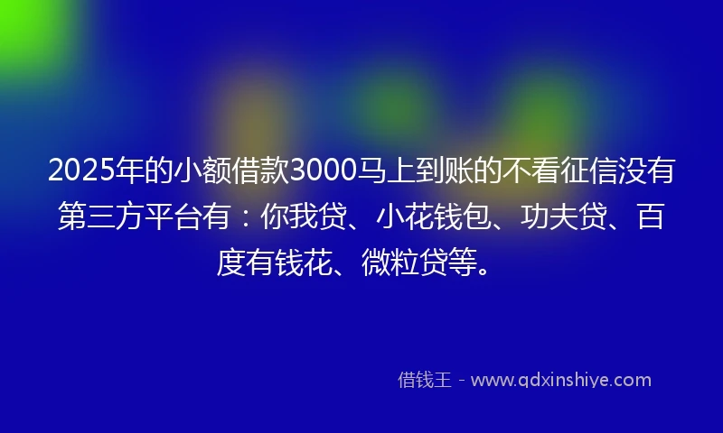 2025年的小额借款3000马上到账的不看征信没有第三方平台有：你我贷、小花钱包、功夫贷、百度有钱花、微粒贷等。