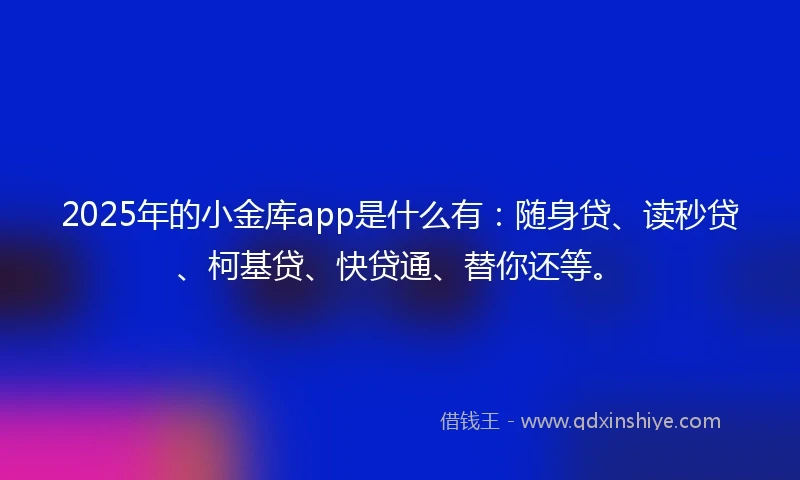 2025年的小金库app是什么有：随身贷、读秒贷、柯基贷、快贷通、替你还等。