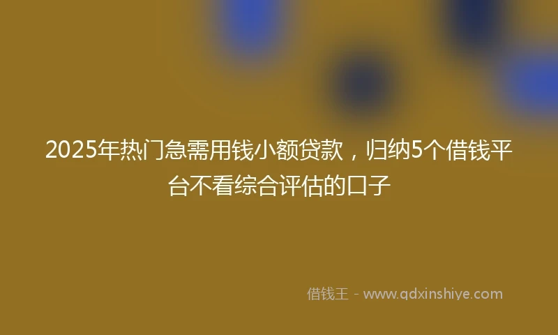 2025年热门急需用钱小额贷款，归纳5个借钱平台不看综合评估的口子