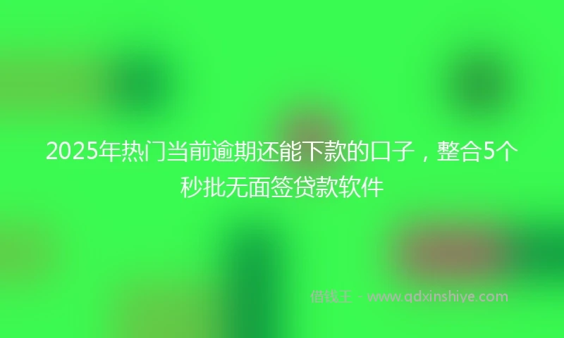 2025年热门当前逾期还能下款的口子，整合5个秒批无面签贷款软件