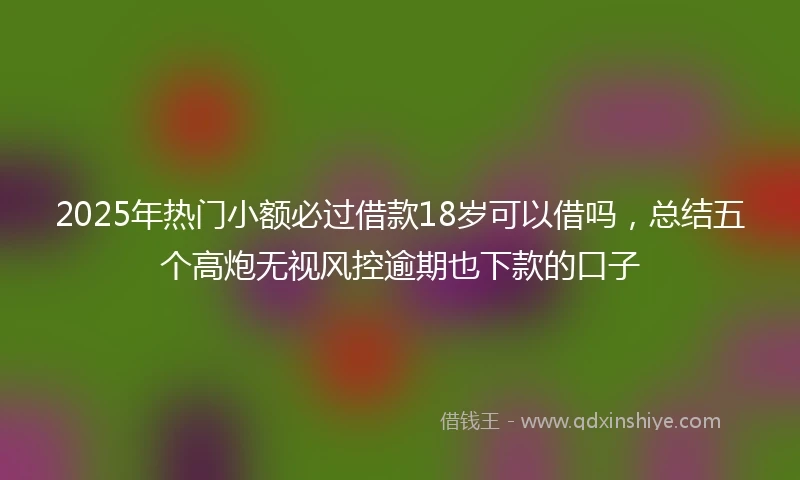 2025年热门小额必过借款18岁可以借吗，总结五个高炮无视风控逾期也下款的口子