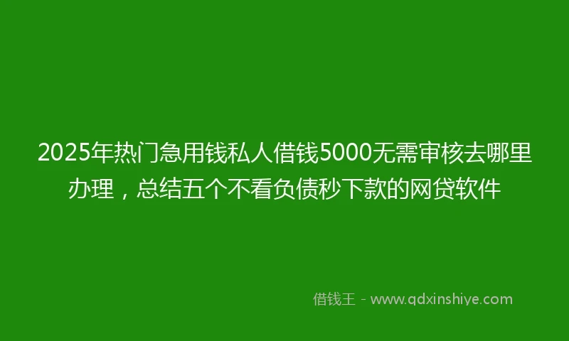 2025年热门急用钱私人借钱5000无需审核去哪里办理，总结五个不看负债秒下款的网贷软件