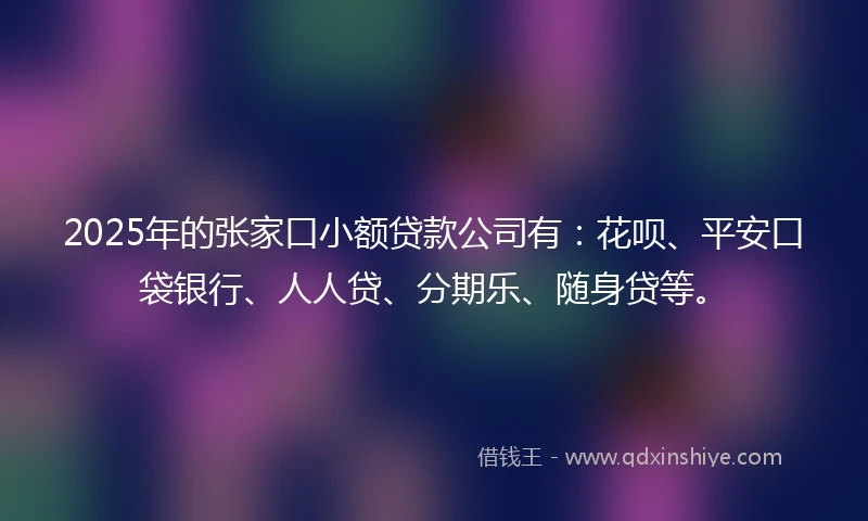 2025年的张家口小额贷款公司有：花呗、平安口袋银行、人人贷、分期乐、随身贷等。