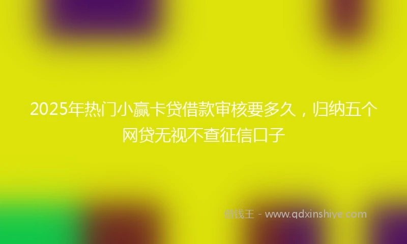 2025年热门小赢卡贷借款审核要多久，归纳五个网贷无视不查征信口子