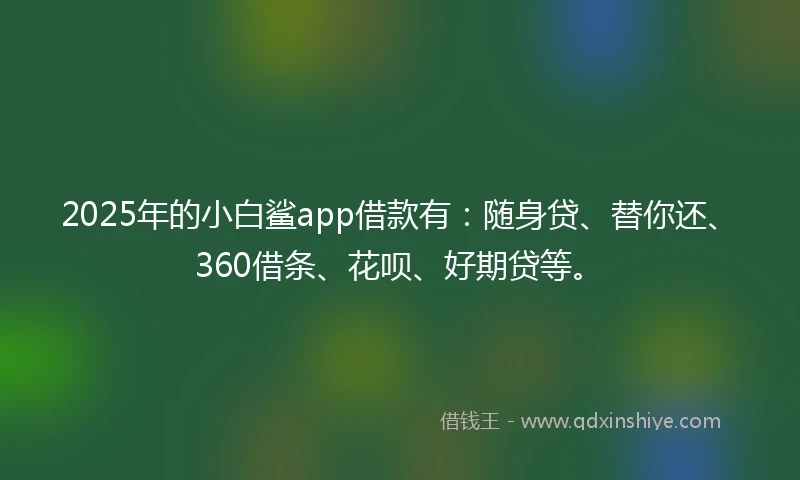 2025年的小白鲨app借款有：随身贷、替你还、360借条、花呗、好期贷等。