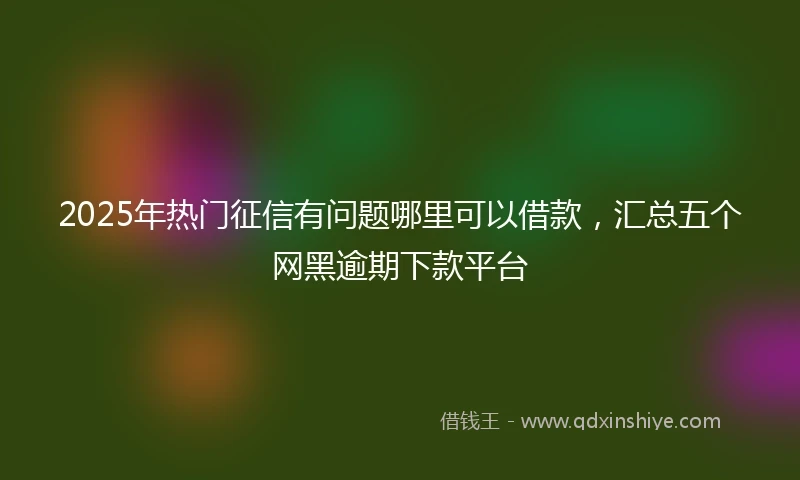 2025年热门征信有问题哪里可以借款，汇总五个网黑逾期下款平台
