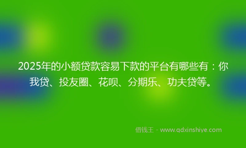 2025年的小额贷款容易下款的平台有哪些有：你我贷、投友圈、花呗、分期乐、功夫贷等。