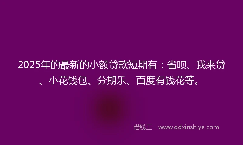 2025年的最新的小额贷款短期有：省呗、我来贷、小花钱包、分期乐、百度有钱花等。