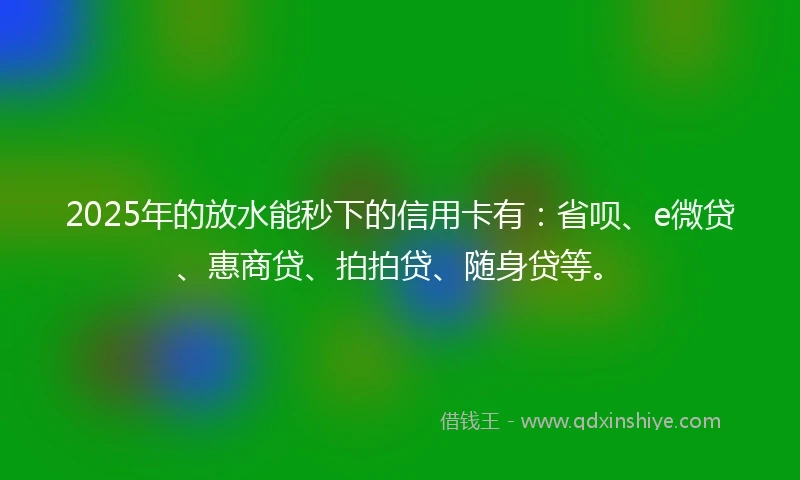 2025年的放水能秒下的信用卡有：省呗、e微贷、惠商贷、拍拍贷、随身贷等。