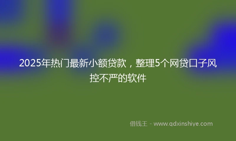 2025年热门最新小额贷款，整理5个网贷口子风控不严的软件