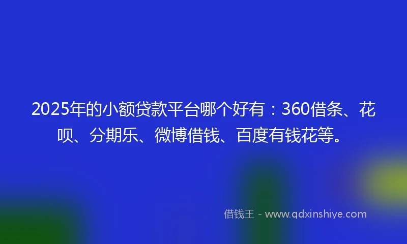 2025年的小额贷款平台哪个好有：360借条、花呗、分期乐、微博借钱、百度有钱花等。