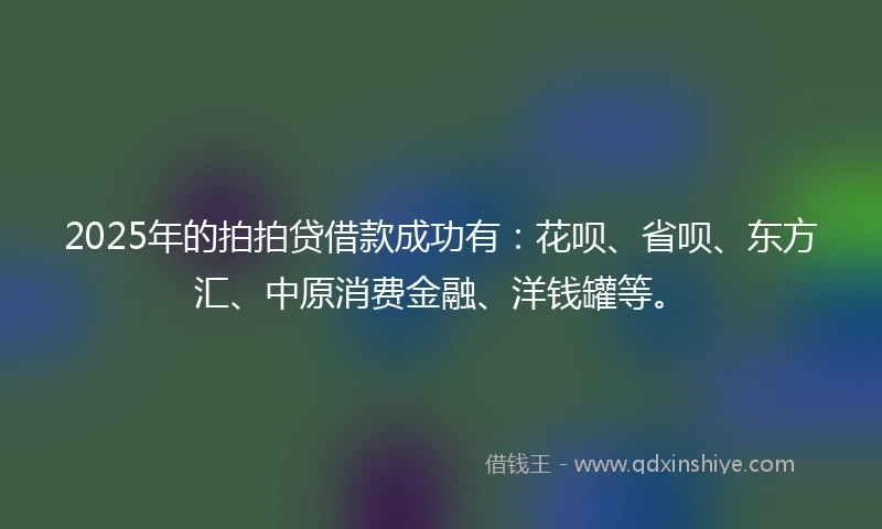 2025年的拍拍贷借款成功有：花呗、省呗、东方汇、中原消费金融、洋钱罐等。