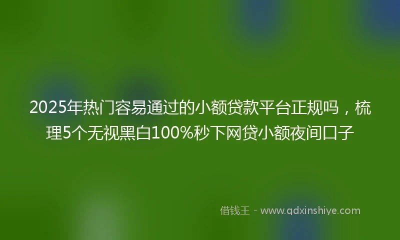 2025年热门容易通过的小额贷款平台正规吗，梳理5个无视黑白100%秒下网贷小额夜间口子