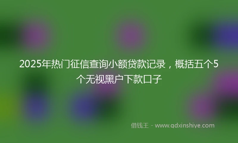 2025年热门征信查询小额贷款记录，概括五个5个无视黑户下款口子