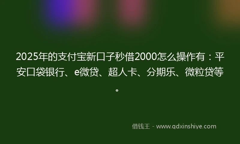 2025年的支付宝新口子秒借2000怎么操作有：平安口袋银行、e微贷、超人卡、分期乐、微粒贷等。