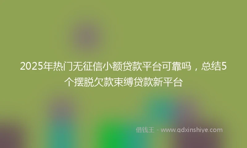 2025年热门无征信小额贷款平台可靠吗，总结5个摆脱欠款束缚贷款新平台