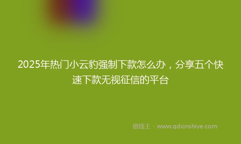 2025年热门小云豹强制下款怎么办，分享五个快速下款无视征信的平台