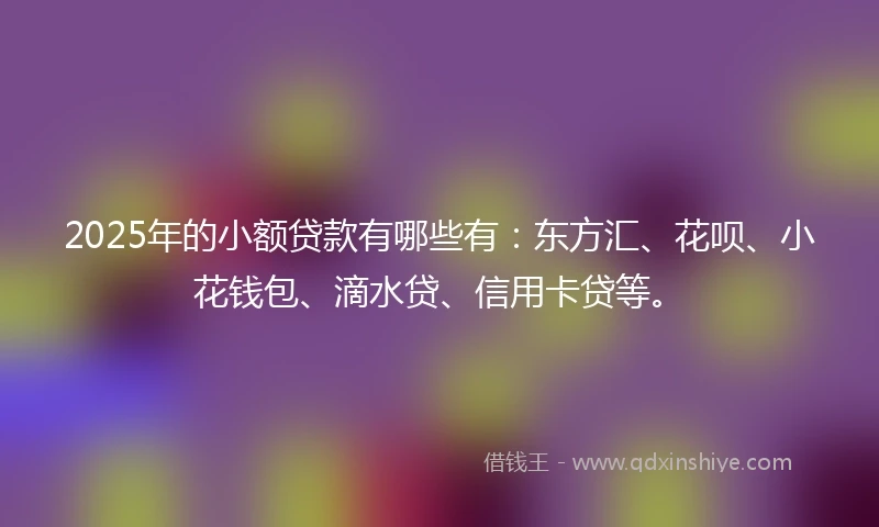 2025年的小额贷款有哪些有：东方汇、花呗、小花钱包、滴水贷、信用卡贷等。