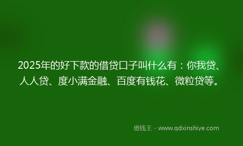 2025年的好下款的借贷口子叫什么有：你我贷、人人贷、度小满金融、百度有钱花、微粒贷等。