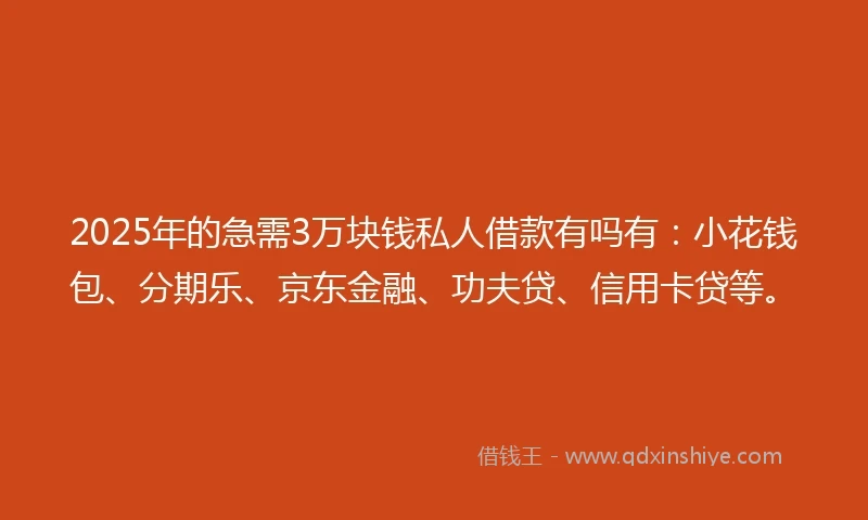 2025年的急需3万块钱私人借款有吗有：小花钱包、分期乐、京东金融、功夫贷、信用卡贷等。