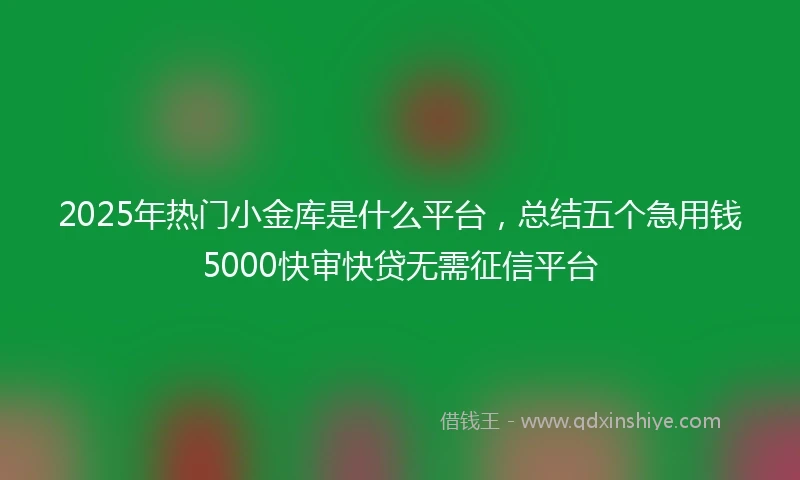 2025年热门小金库是什么平台，总结五个急用钱5000快审快贷无需征信平台