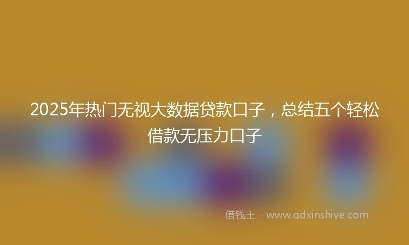 2025年热门无视大数据贷款口子，总结五个轻松借款无压力口子
