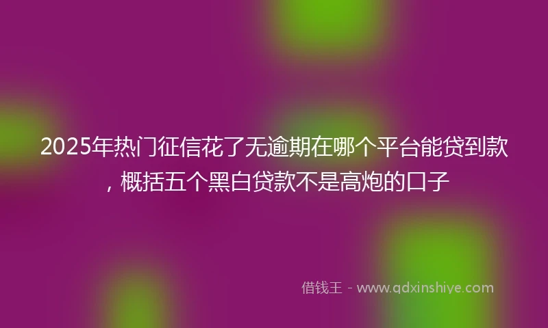2025年热门征信花了无逾期在哪个平台能贷到款，概括五个黑白贷款不是高炮的口子