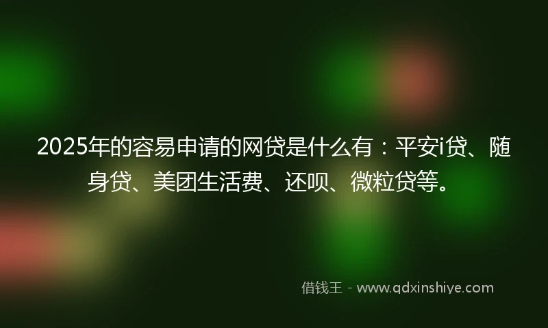 2025年的容易申请的网贷是什么有：平安i贷、随身贷、美团生活费、还呗、微粒贷等。