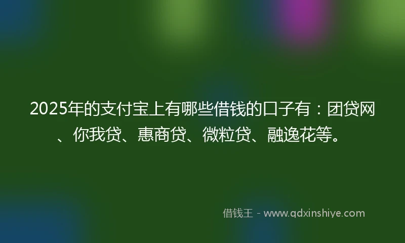 2025年的支付宝上有哪些借钱的口子有：团贷网、你我贷、惠商贷、微粒贷、融逸花等。