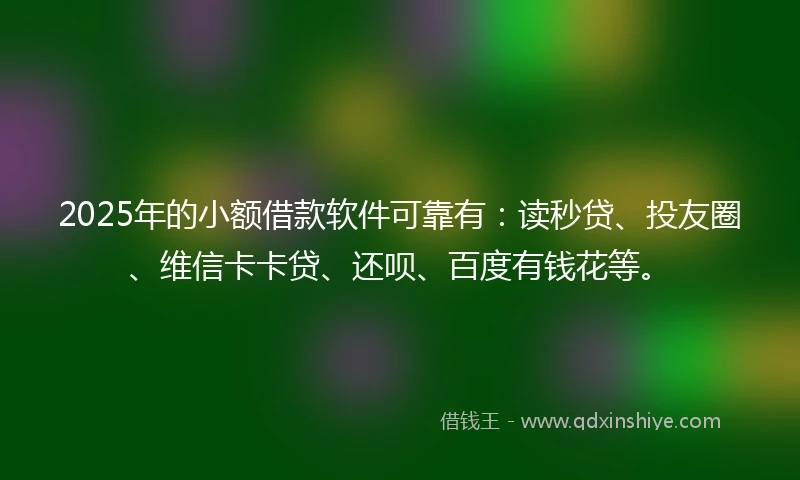 2025年的小额借款软件可靠有：读秒贷、投友圈、维信卡卡贷、还呗、百度有钱花等。