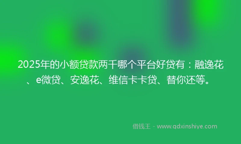 2025年的小额贷款两千哪个平台好贷有：融逸花、e微贷、安逸花、维信卡卡贷、替你还等。