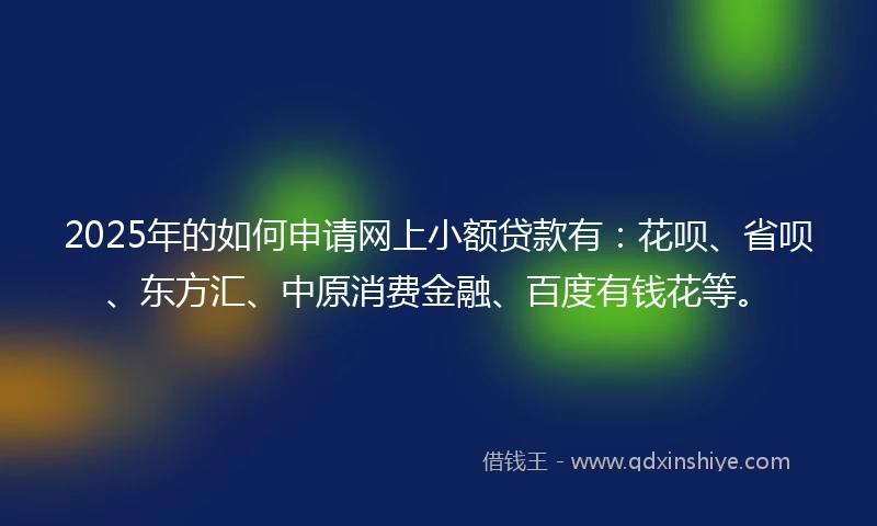2025年的如何申请网上小额贷款有：花呗、省呗、东方汇、中原消费金融、百度有钱花等。