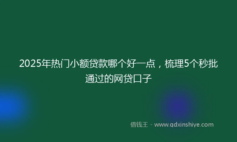 2025年热门小额贷款哪个好一点，梳理5个秒批通过的网贷口子