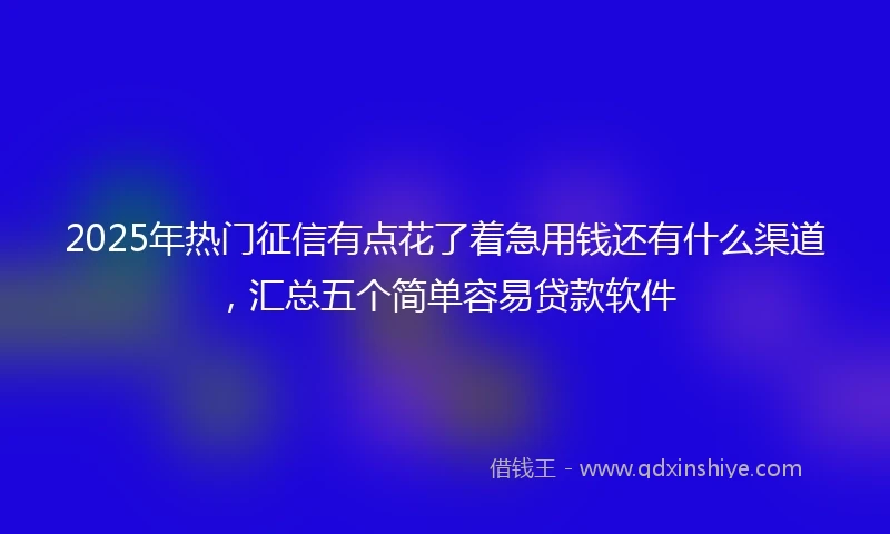 2025年热门征信有点花了着急用钱还有什么渠道，汇总五个简单容易贷款软件