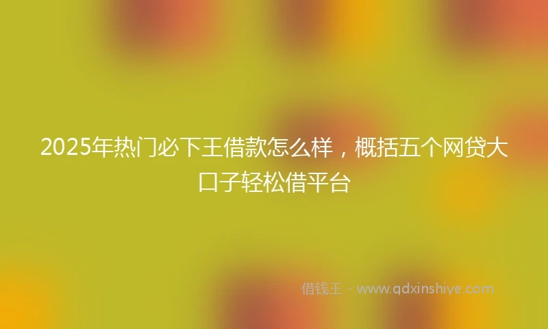 2025年热门必下王借款怎么样，概括五个网贷大口子轻松借平台