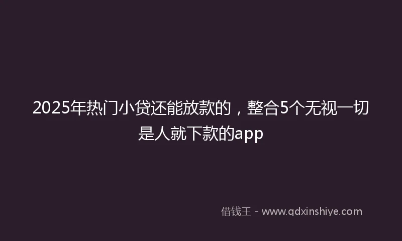 2025年热门小贷还能放款的，整合5个无视一切是人就下款的app