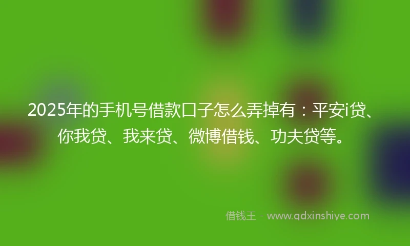 2025年的手机号借款口子怎么弄掉有：平安i贷、你我贷、我来贷、微博借钱、功夫贷等。