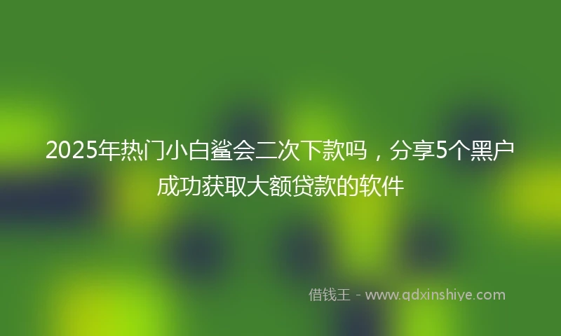 2025年热门小白鲨会二次下款吗，分享5个黑户成功获取大额贷款的软件