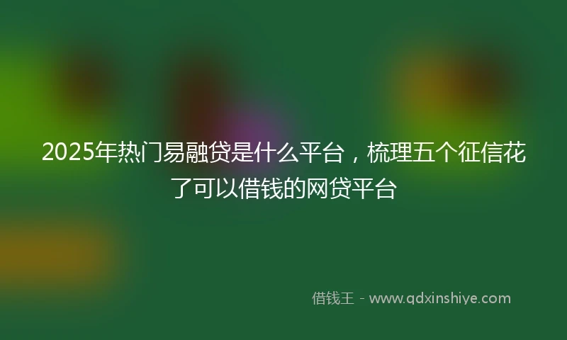 2025年热门易融贷是什么平台，梳理五个征信花了可以借钱的网贷平台