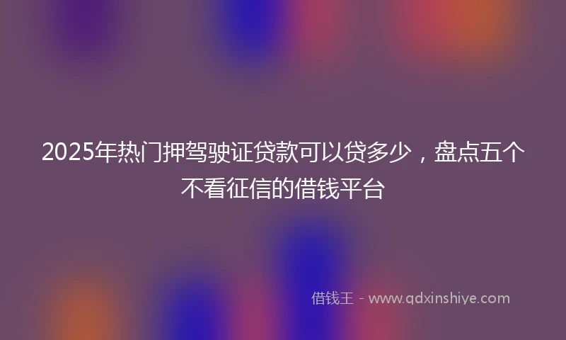 2025年热门押驾驶证贷款可以贷多少，盘点五个不看征信的借钱平台