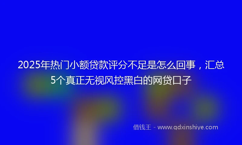 2025年热门小额贷款评分不足是怎么回事，汇总5个真正无视风控黑白的网贷口子