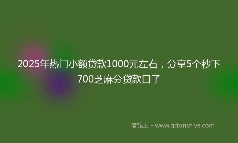 2025年热门小额贷款1000元左右，分享5个秒下700芝麻分贷款口子