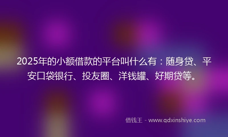 2025年的小额借款的平台叫什么有：随身贷、平安口袋银行、投友圈、洋钱罐、好期贷等。