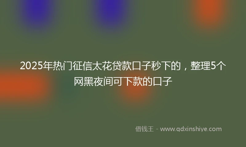 2025年热门征信太花贷款口子秒下的，整理5个网黑夜间可下款的口子