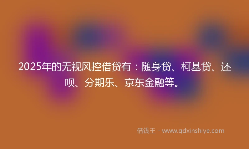 2025年的无视风控借贷有：随身贷、柯基贷、还呗、分期乐、京东金融等。