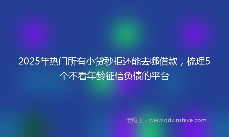 2025年热门所有小贷秒拒还能去哪借款，梳理5个不看年龄征信负债的平台