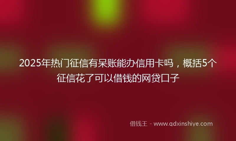 2025年热门征信有呆账能办信用卡吗，概括5个征信花了可以借钱的网贷口子