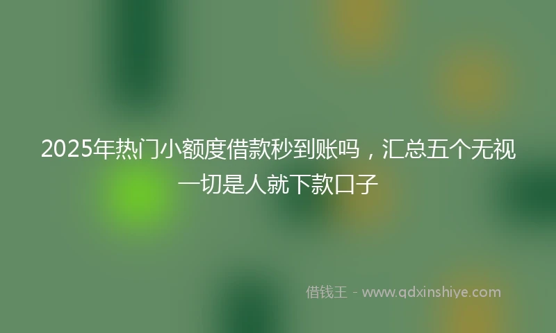 2025年热门小额度借款秒到账吗，汇总五个无视一切是人就下款口子